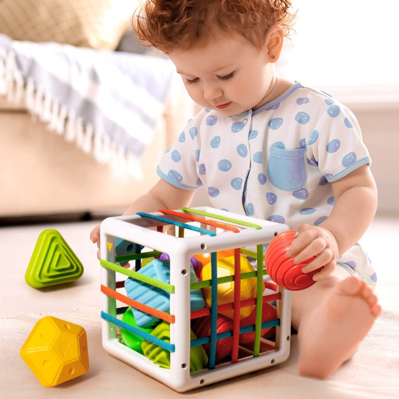 Cubo Brinquedo Montessori Educativo para Bebê